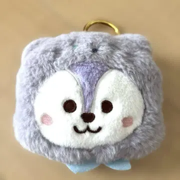 [ BT21 ] 페이스형 패스 케이스