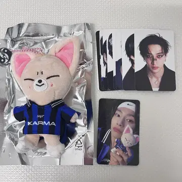 StrayKids KARMA SKZOO 아이엔 폭시니 키링