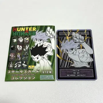HUNTER x HUNTER 헌터헌터 스탯 카드 키루아