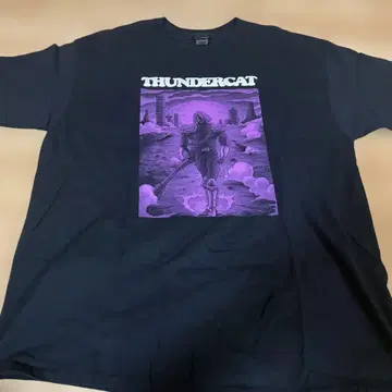 THUNDER CAT 셔츠 XL 블랙