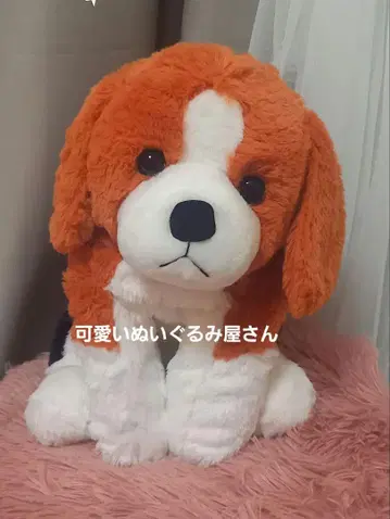 비글 강아지 봉제 인형 폭신폭신