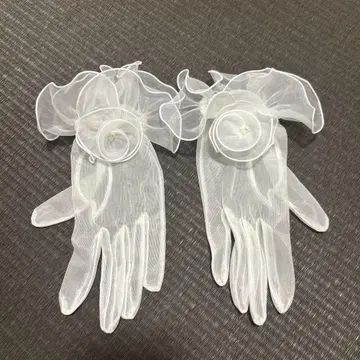 웨딩 그로브 화이트