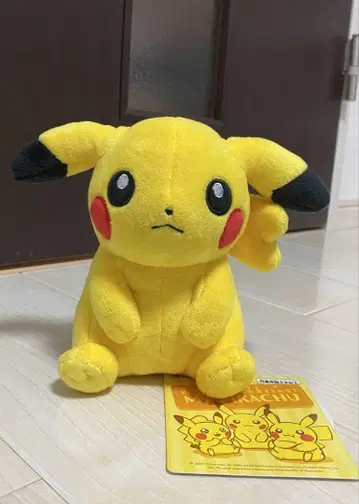 마이피카츄 봉제 인형