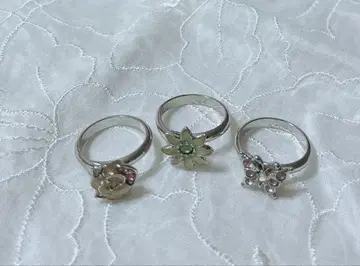 ANNA SUI 안나수이 3연 반지