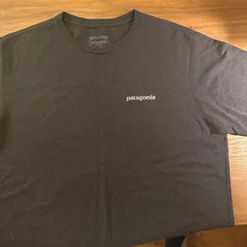 patagonia Responsibili-Tee L 사이즈 블랙