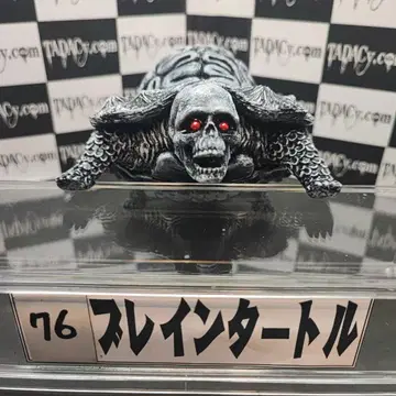 76 브레인 터틀