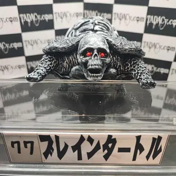 77 브레인 터틀