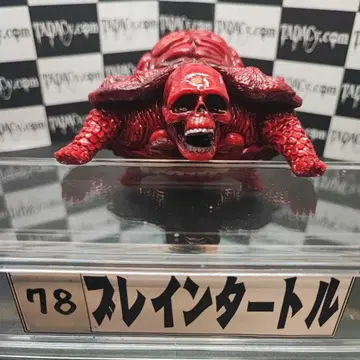 78 브레인 터틀
