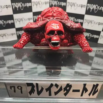 79 브레인 터틀