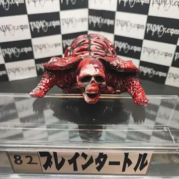 82 브레인 터틀