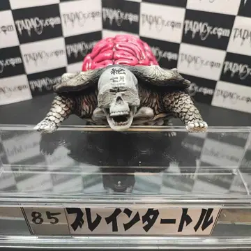 85 브레인 터틀