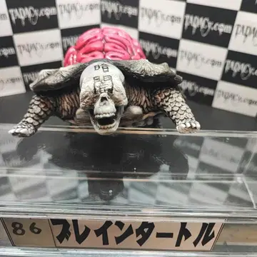 86 브레인 터틀