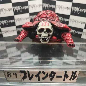 89 브레인 터틀