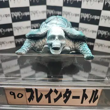 90 브레인 터틀