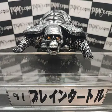 91 브레인 터틀