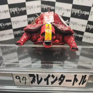 94 브레인 터틀