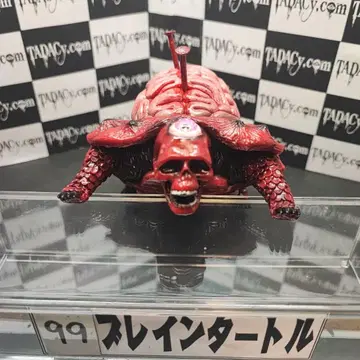 99 브레인 터틀