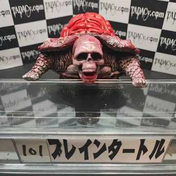 101 브레인 터틀