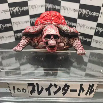 100 브레인 터틀