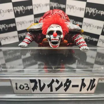 103 브레인 터틀