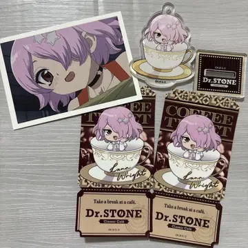 Dr.STONE 루나 티켓풍 아크릴 키링 스티커 카드