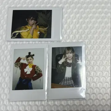 마메시바노타이군 레오나엠파이어 폴라로이드
