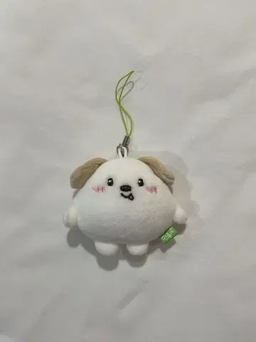 RIIZE 앤톤 키링