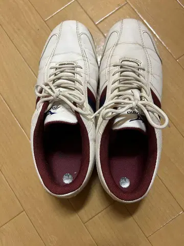 Mizuno 골프화 화이트/네이비