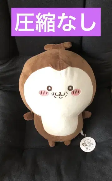 치이카와 (먼작귀) 장수풍뎅이 봉제 인형
