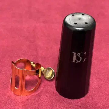 BG Tradition L19 알토용 리가처