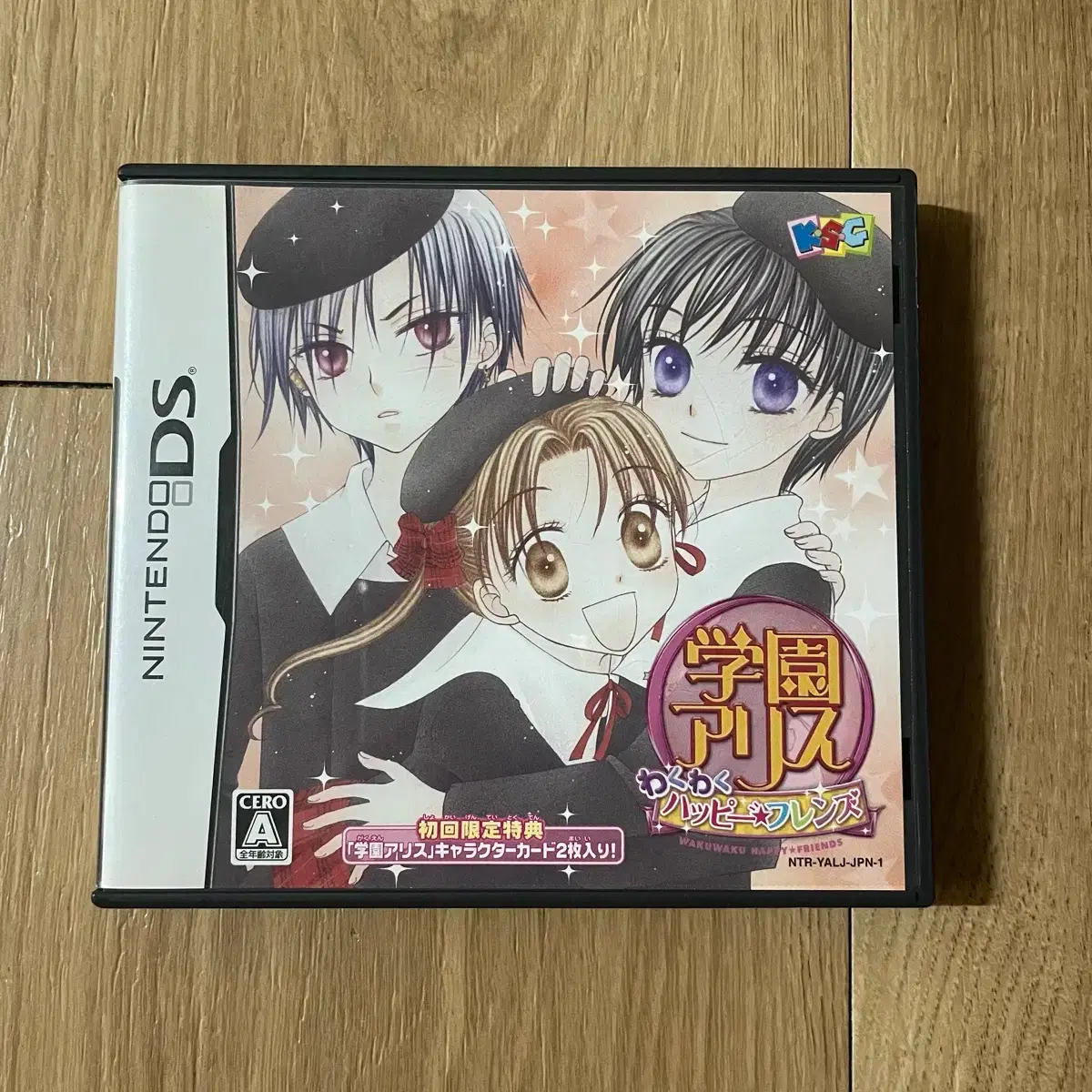 Gakuen Alice DS Nintendo Chip Game Chip