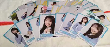 히나타자카46 4기생 브로마이드 묶음 판매 80장 세트