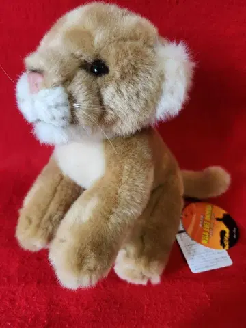 선애로우 암사자 S 봉제 인형 WILD LIFE ANIMALS 동물