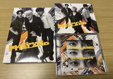 ftisland instinct