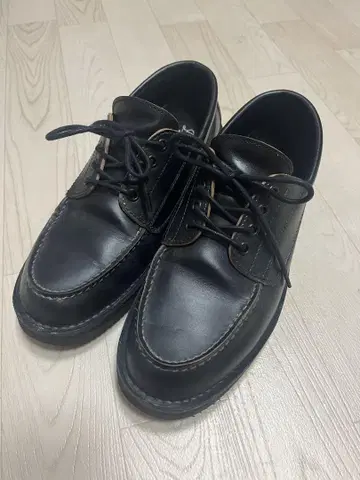 대너 브로건 27cm (9인치)