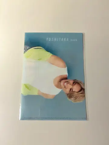 하라 요시타카 미니 클리어 파일