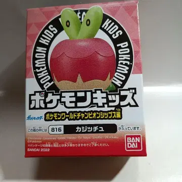 포켓몬 키즈 카짓치 13