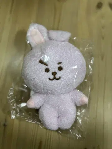BTS BT21 COOKY 봉제 인형 쿠키 정국