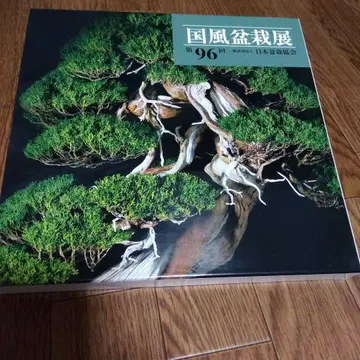 국풍 분재전 도서