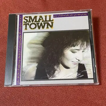 극레어/북유럽 멜로딕 AOR 명반 SMALL TOWN/SMALL TOWN