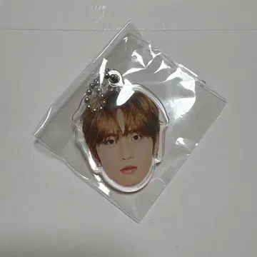 INI 허풍범 캡슐 토이 얼굴 아크릴 키링