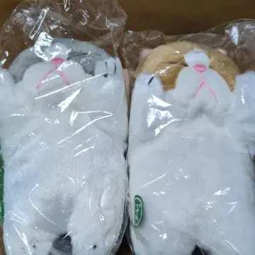 막대기 같은 고양이 2마리