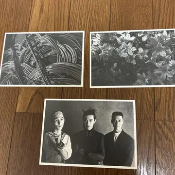 소프트 발레 엽서 3장 세트