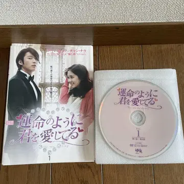 한국 드라마 [운명처럼 널 사랑해] 전10권 전20화