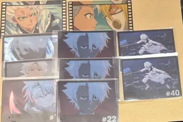 BLEACH 히즈카야 토시로