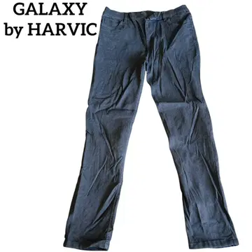 GALAXY by HARVIC 스키니 팬츠 블랙