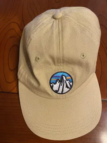 Patagonia 파타고니아 베이지 캡