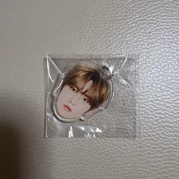 INI XQUARE 캡슐 토이 허풍범 얼굴 아크릴 키링