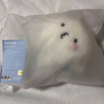 SEVENTEEN 세부치 MINTEEN PLUSH TOY 우지