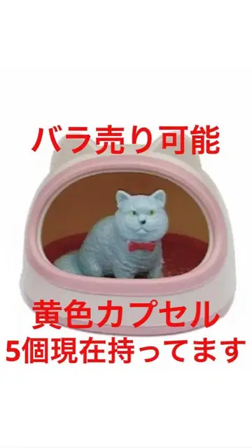 집에서의 시간 냥코 옐로우 컬러 캡슐